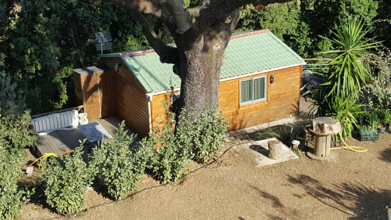 Le Petit Chalet Porticcio  Eksteriør bilde