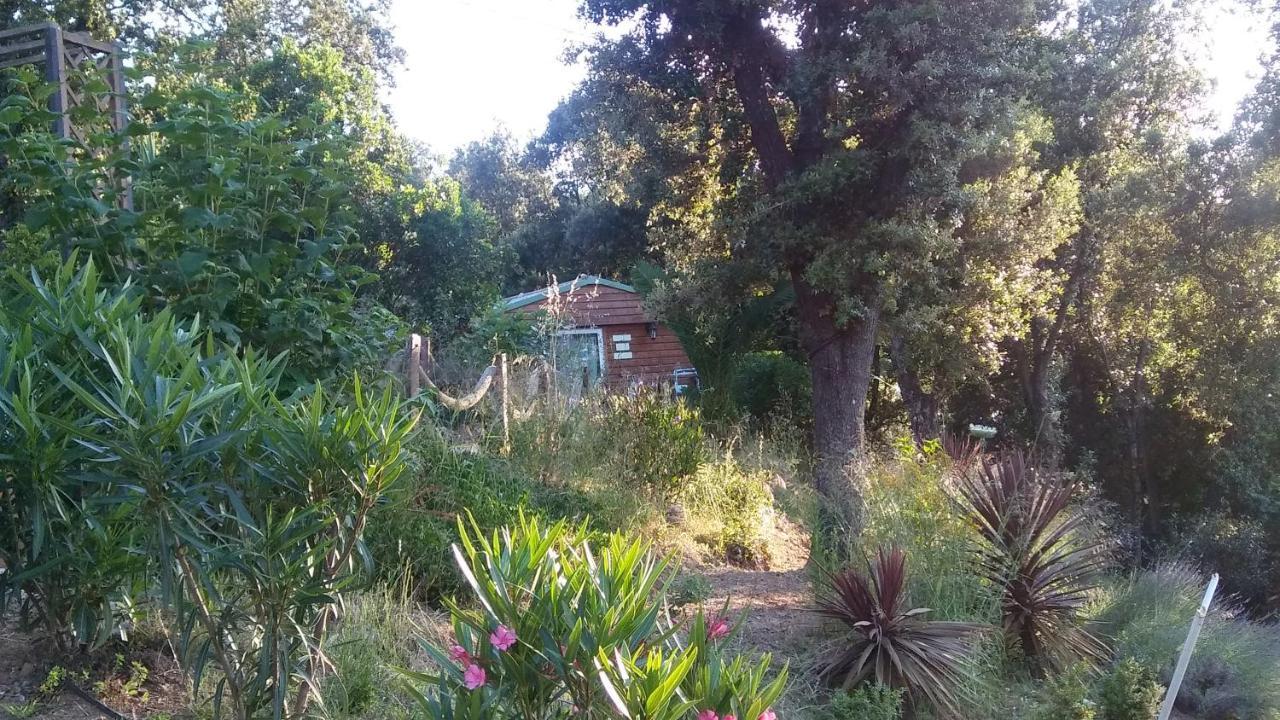 Le Petit Chalet Porticcio  Eksteriør bilde